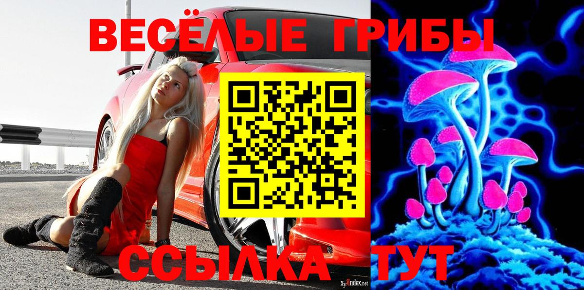 Псилоцибиновые грибы ЛСД  Вход с VPN  Псилоцибиновые грибы Psilocybe  Армавир 