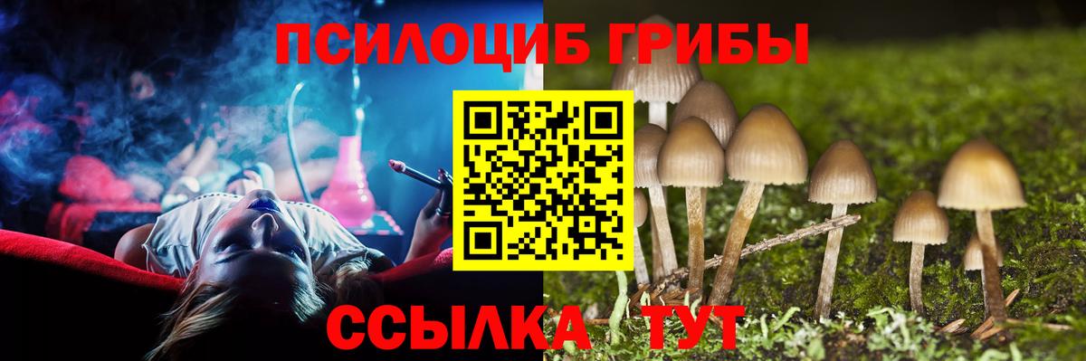 Псилоцибиновые грибы прущие грибы Армавир